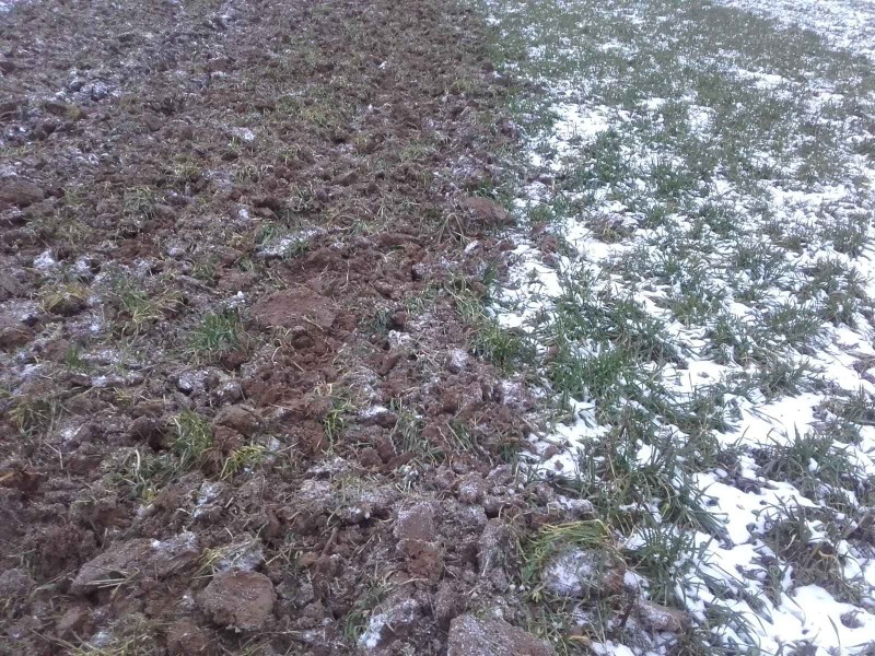 2018-02-10 Frost grubbern 2.jpg