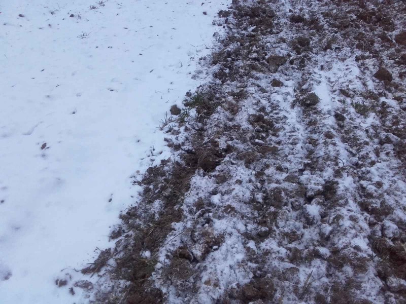 2018-02-10 Frost grubbern 3.jpg