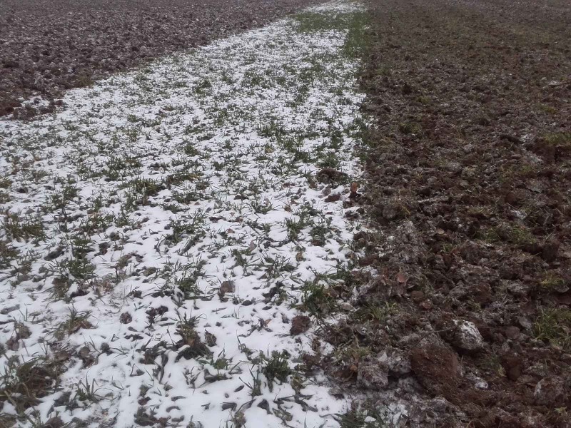 2018-02-10 Frost grubbern 5.jpg