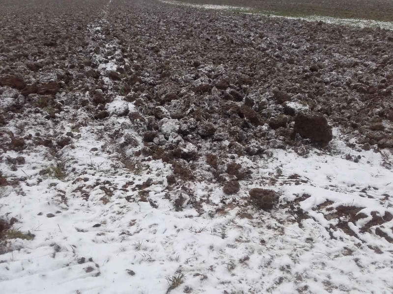 2018-02-10 Frost grubbern 6.jpg