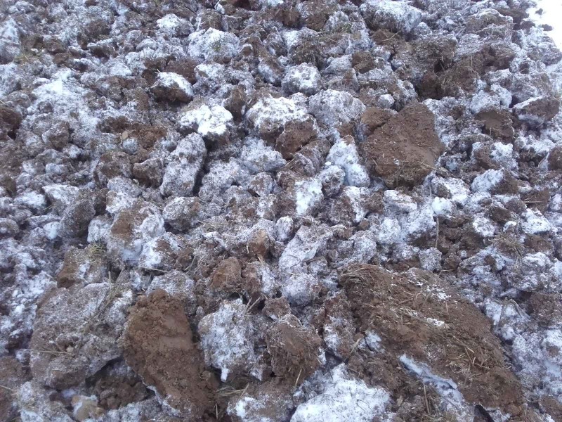 2018-02-10 Frost grubbern 4.jpg
