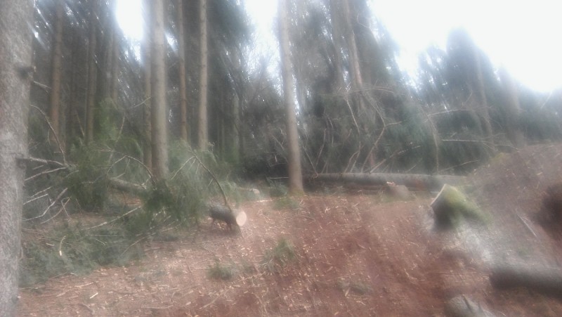 20180310_155113 klein.jpg