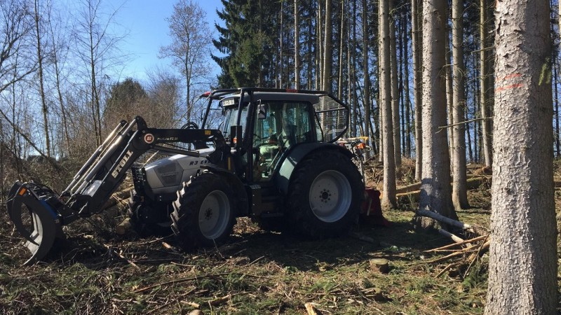 Lambo Wald 2 klein.jpg