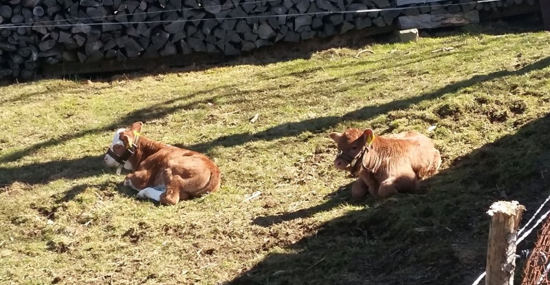 Florentine und Jochen.jpg