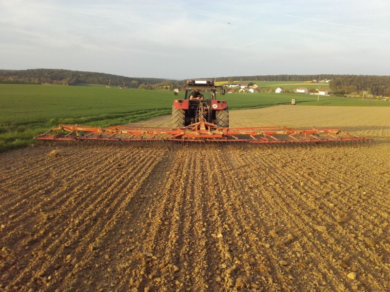 2018-04-24 Ackerbohnen striegeln 7.jpg