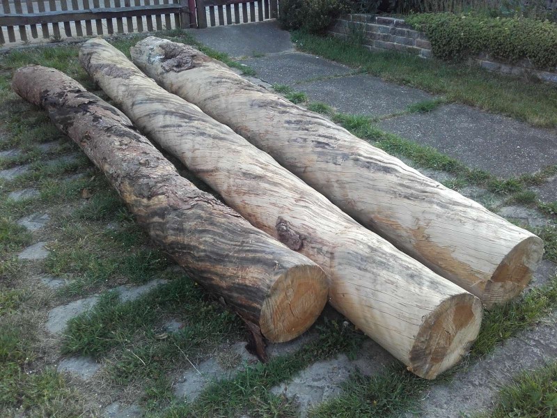 2018-06-18 Gedrehte Bäume 1.jpg