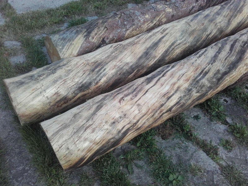 2018-06-18 Gedrehte Bäume 2.jpg