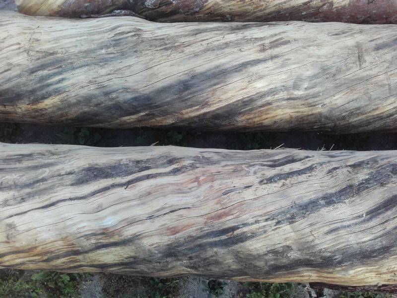 2018-06-18 Gedrehte Bäume 3.jpg