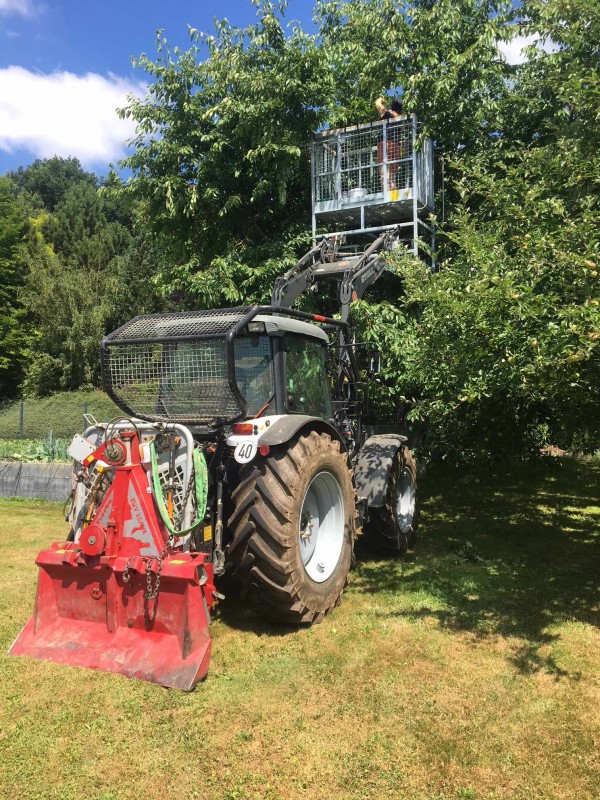 Kirschernte 2018 K.jpg