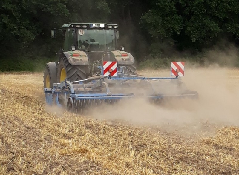 20180704_klein 3.jpg