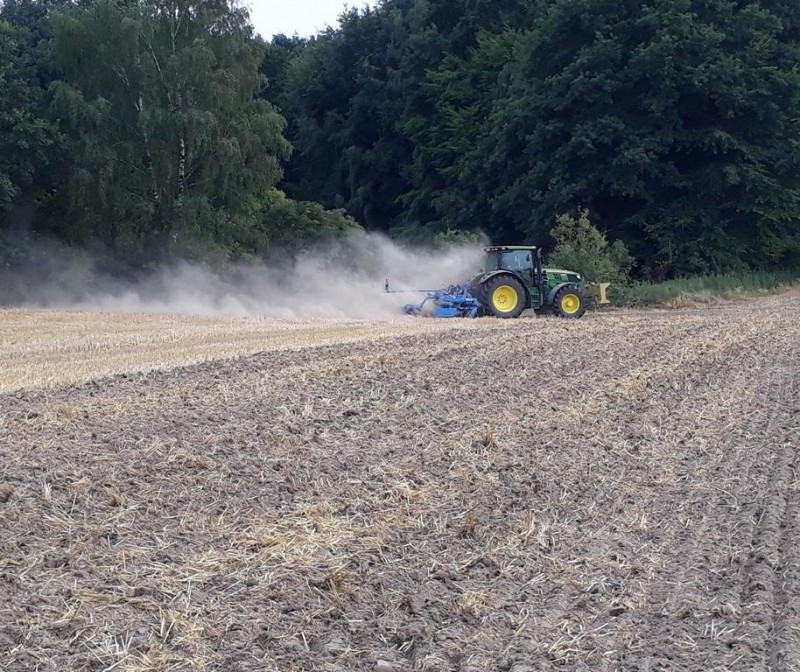 20180704_klein 4.JPG