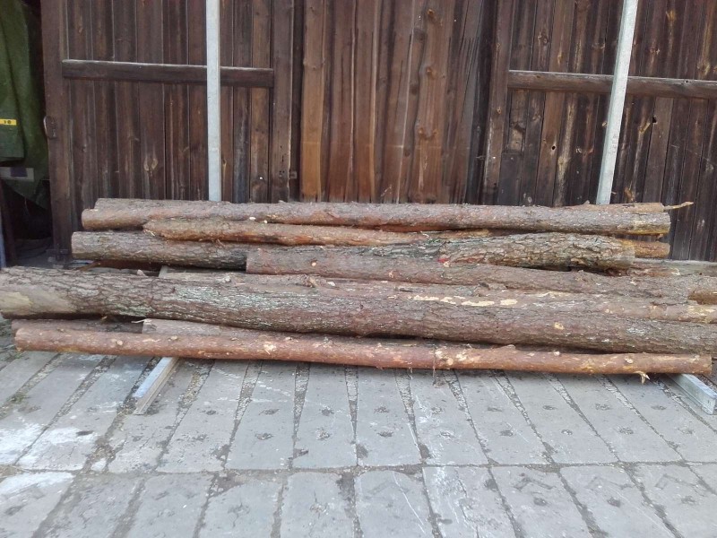 2018-07-07 Wald 5.jpg