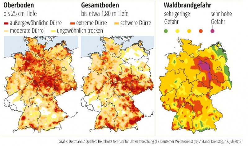 Dürre 2018.JPG
