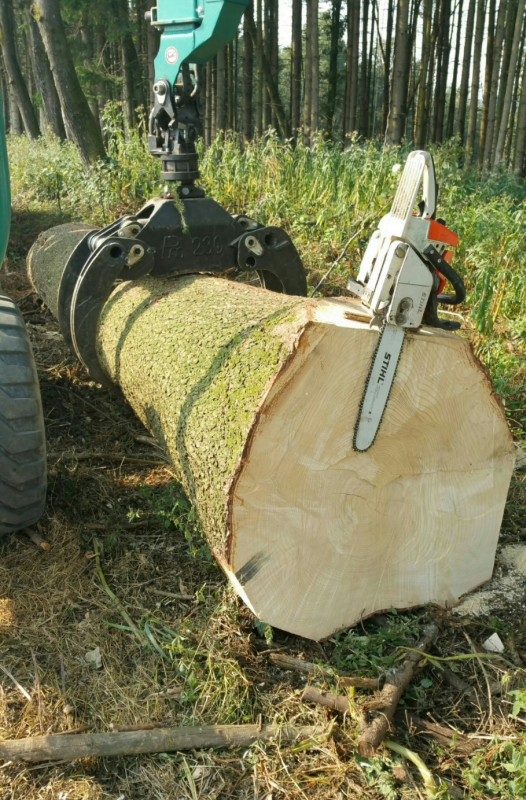 2018-08-05 13.37.06.jpg