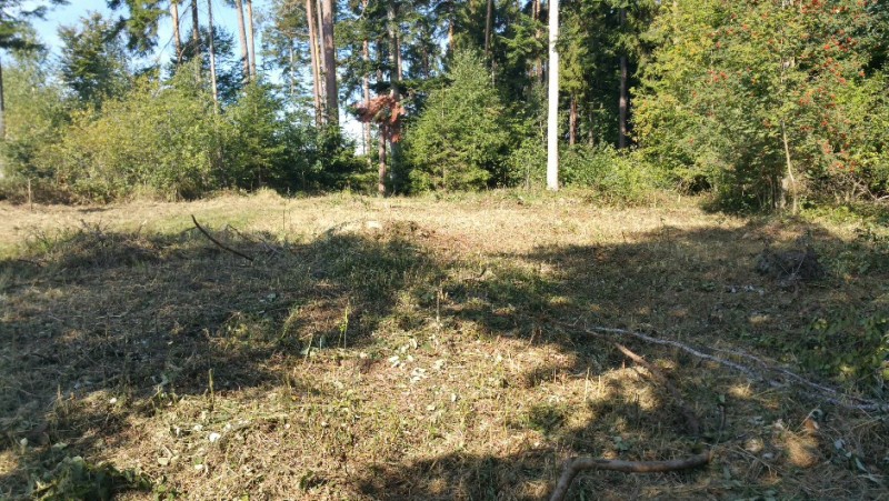 2018-09-09 11.11.05.jpg