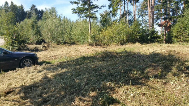 2018-09-09 11.11.36.jpg