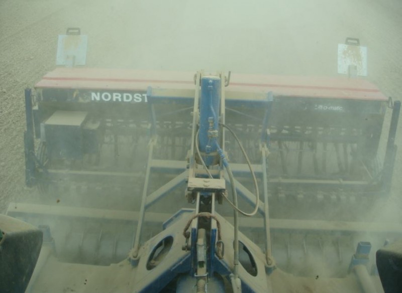 Wintergerstensaat im Staub 2018.JPG