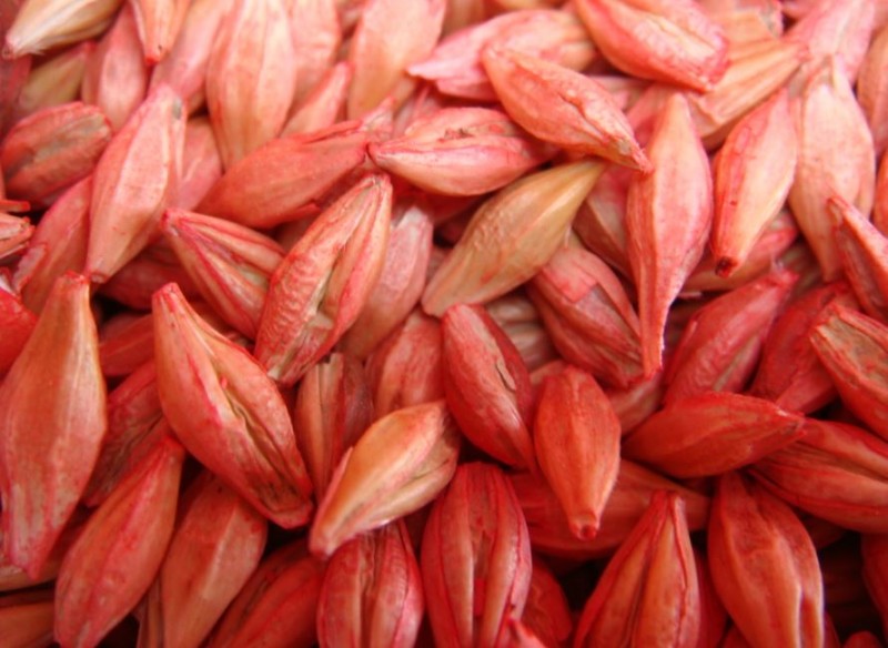 Highlight Selbst gebeizte Mähdrescherware.JPG