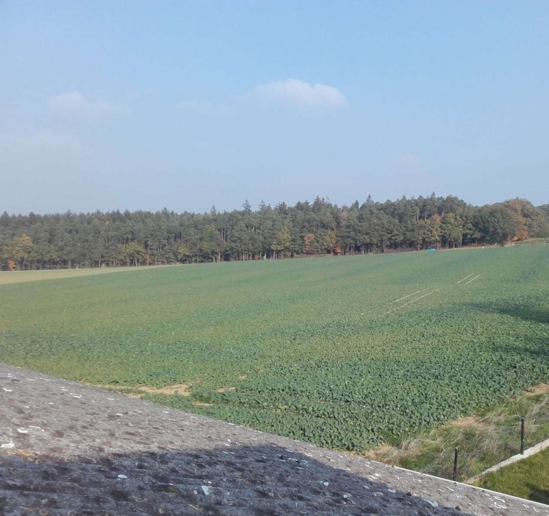 2018-10-21 Raps 3.jpg