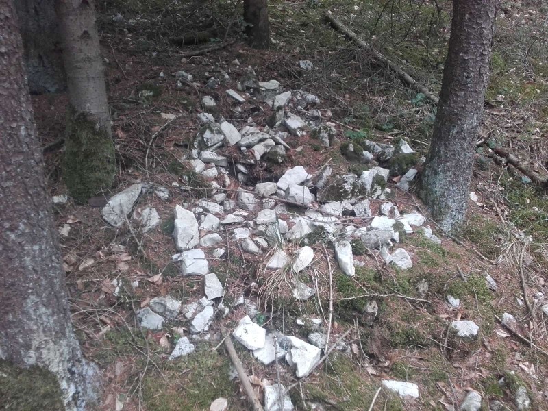 2018-08-31 Robert  Wald 8.jpg