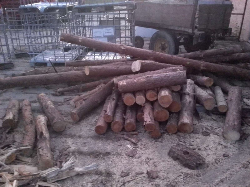 2018-09-11 Holz machen 1.jpg