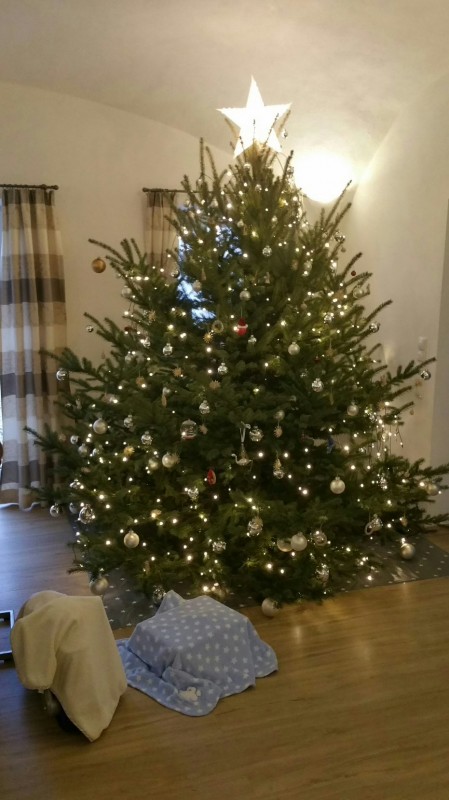 2018-12-24 15.02.38.jpg