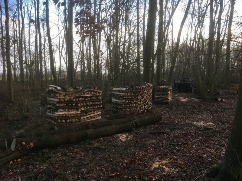 Brennholz 2.JPG