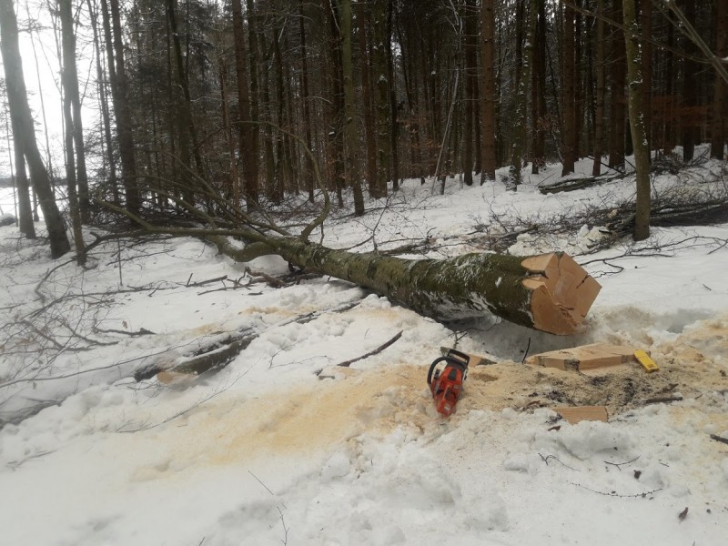 Waldarbeitschnee.jpg
