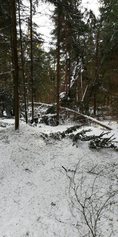 IMG-20190116-WA0001 klein.jpg