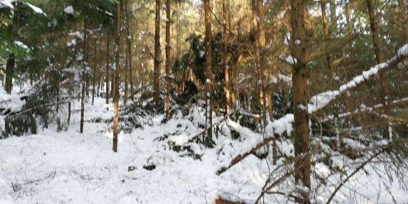 IMG-20190116-WA0003 klein.jpeg