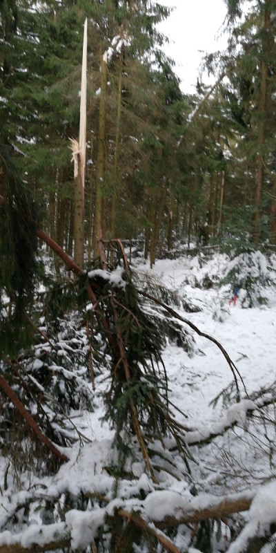 IMG-20190116-WA0005 klein.jpeg