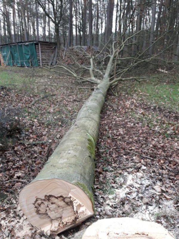 jetzt beginnt das Aufräumen.jpg