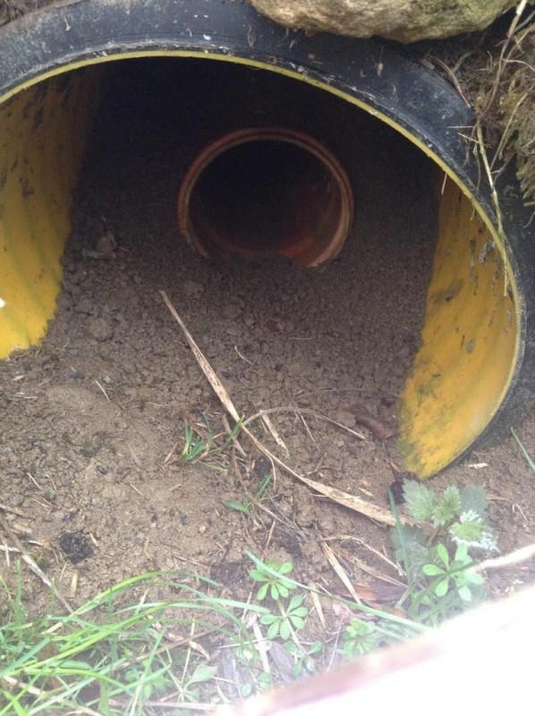 Drainage am 16.3.19 ohne Wasser.JPG