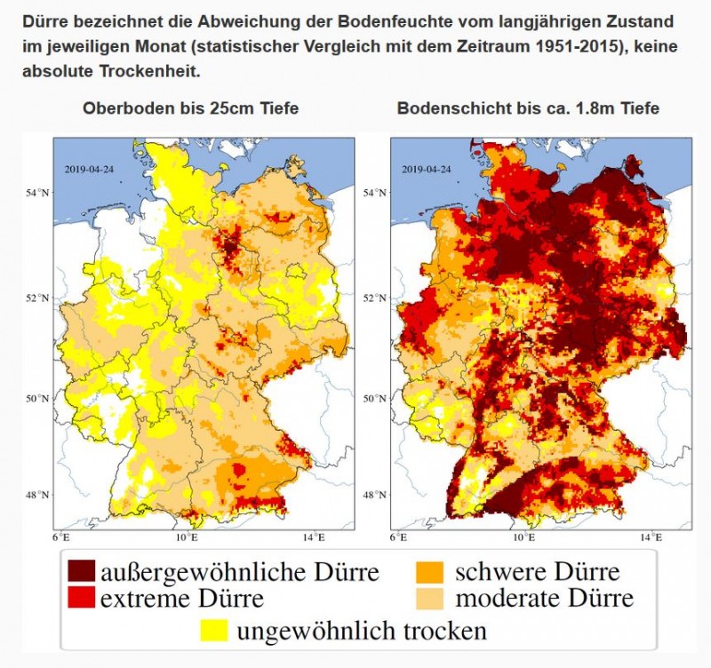 Dürre 04_2019.JPG