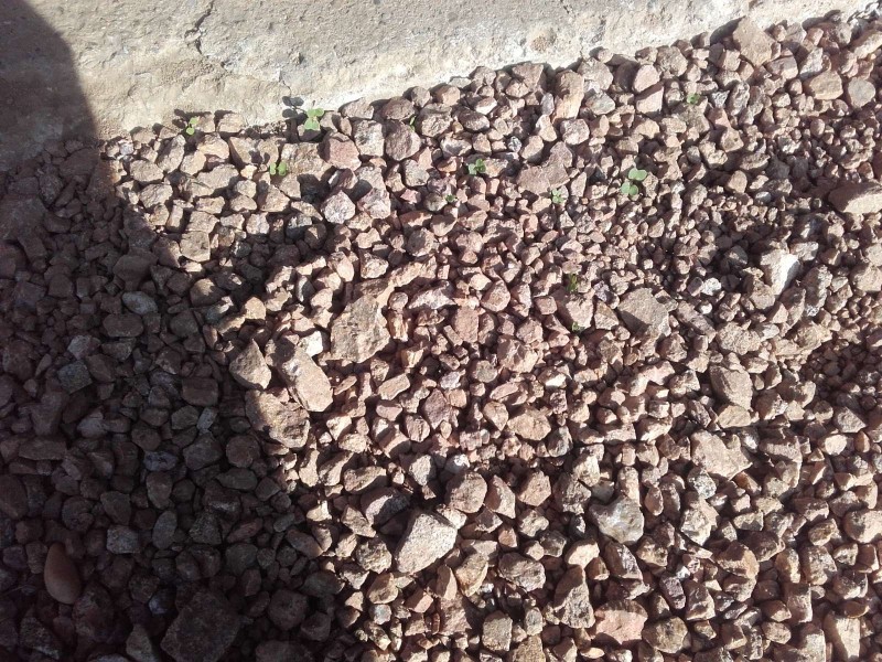 2019-09-17 Raps vor der Halle.jpg