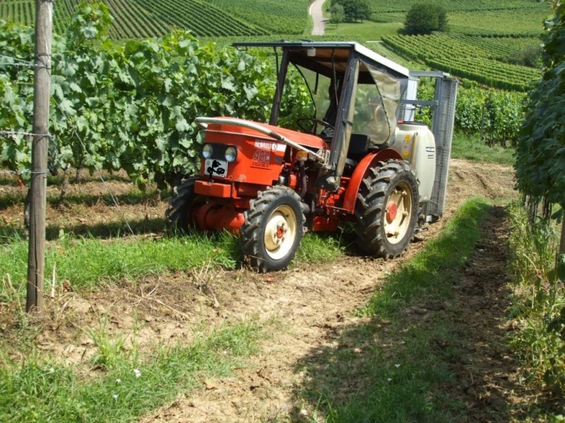 DSCF1532.JPG