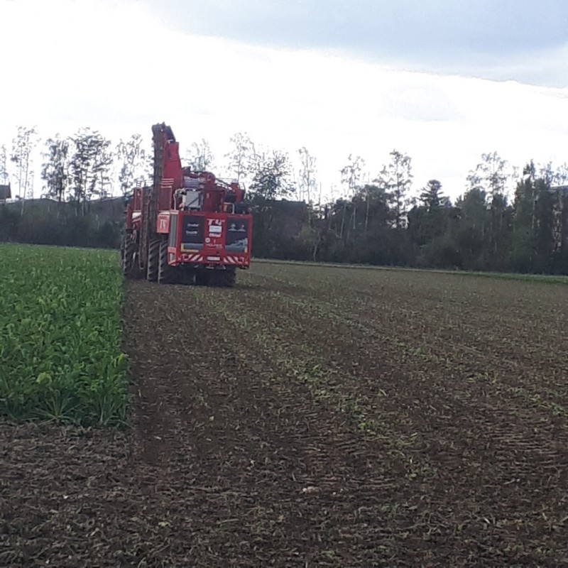 20191002_144304-979x979 (002).jpg