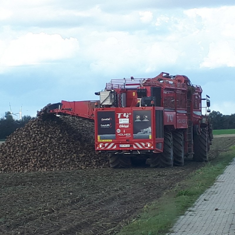 20191002_144115-979x979 (002).jpg