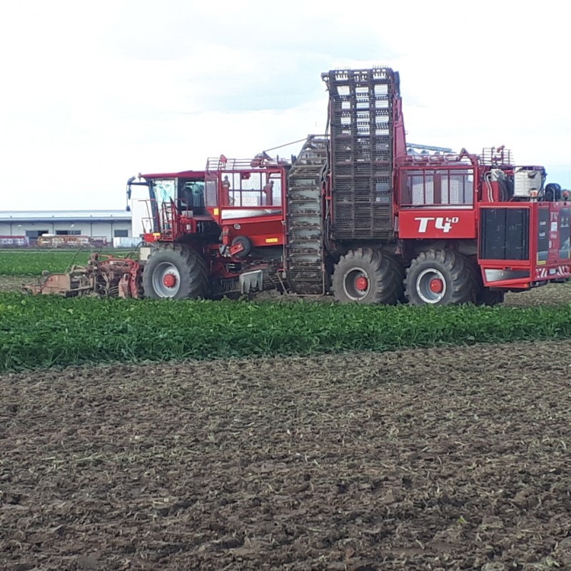 20191002_144231-979x979 (002).jpg