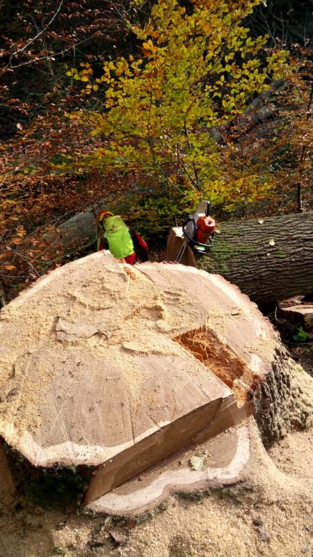 a90dbb8d-6fa2-4ef3-90ef-4d4fa7ae47a9 Kopie.jpg