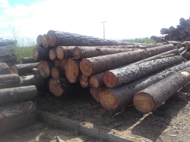 2019-06-19 Haufen Sägewerk 2.jpg