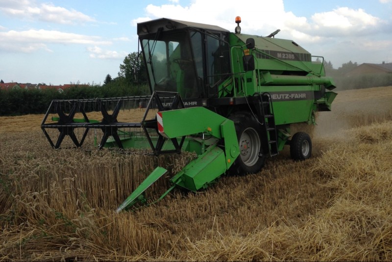 Mähdrescher Weizen.jpg