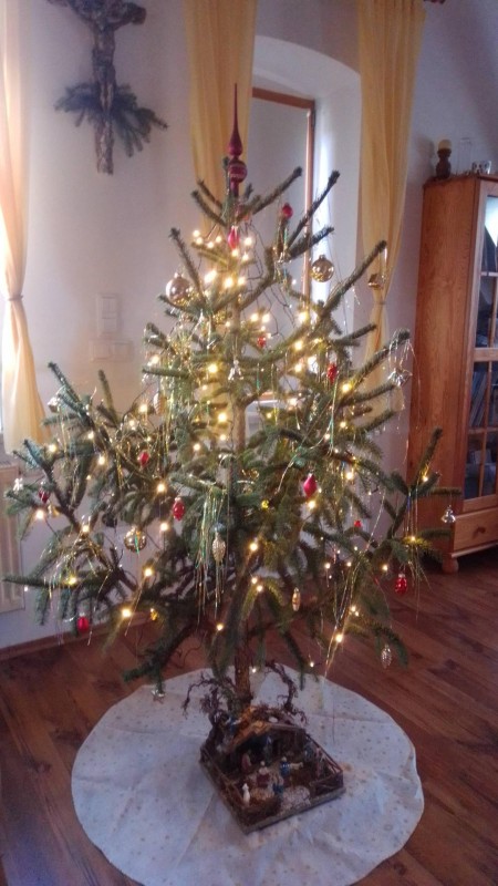 Weihnachtsbaum_IMG_20191224_135051[1_50].jpg
