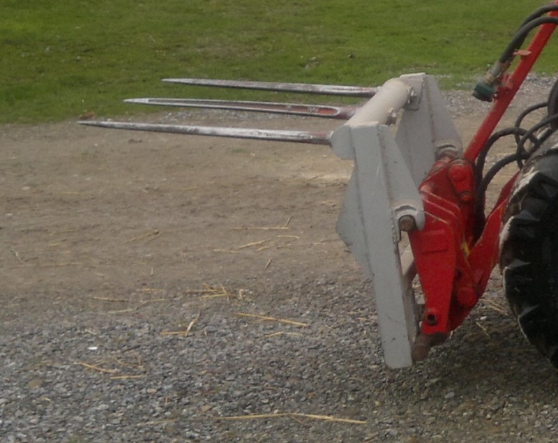 2013-01-11-1557 klein.jpg