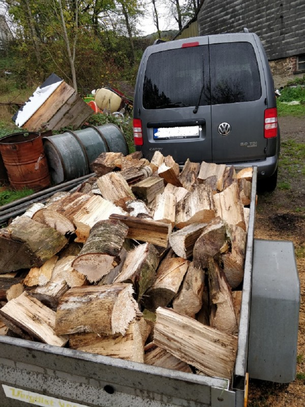 Caddy Holz.jpg