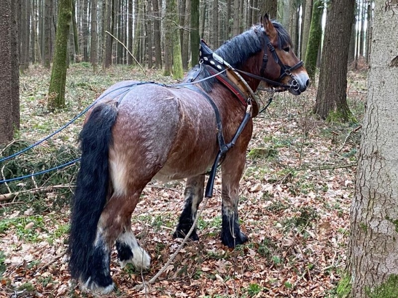 f1ef412a-a82a-408c-aef3-ca9c6ae5f110 (1).jpg