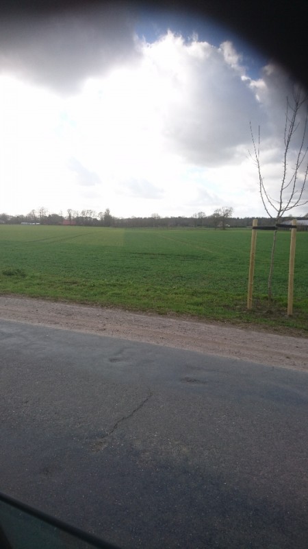 WGerste 12 März.jpg