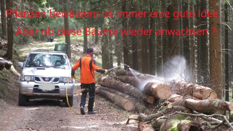 Bäume_bewässern_a.jpg