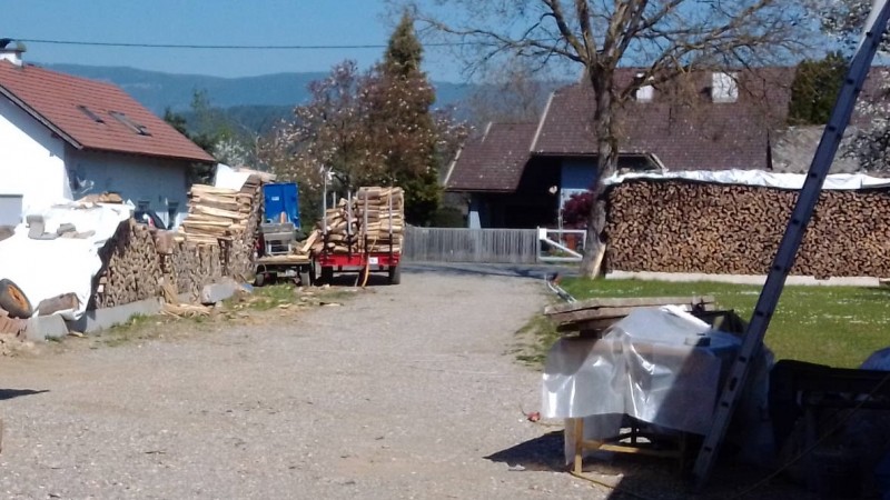 IMG_2020_Hschl_Brennholzsaegen.jpg