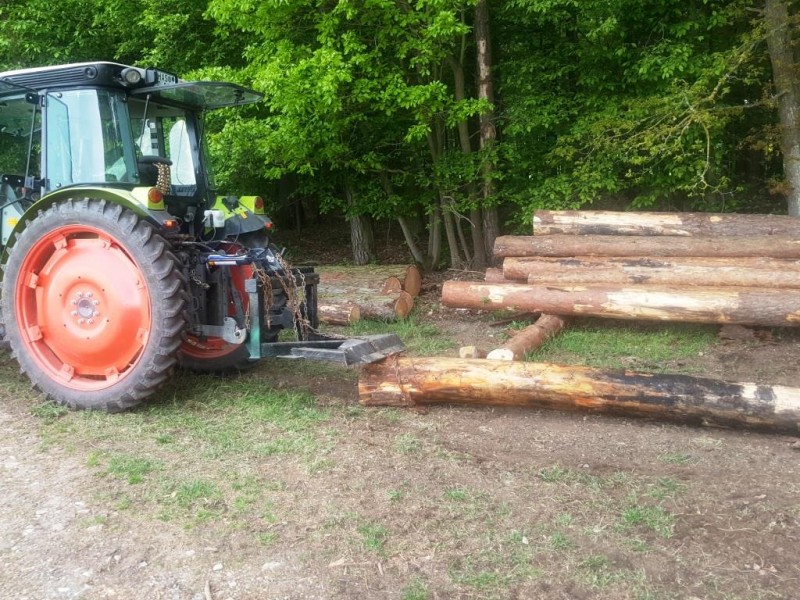 19, Stamm angehängt Kompr .jpg